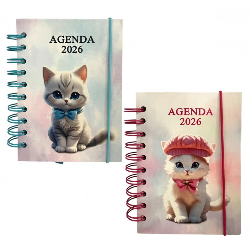 AGENDA 2026 11X15CM # SXFS-14385