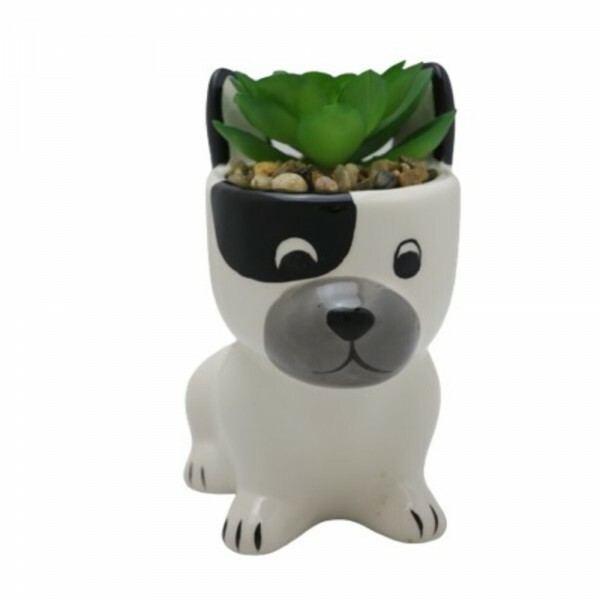 CACHEPOT CACHORRO 01 C/PLANTA 12X8X6CM # HD58103