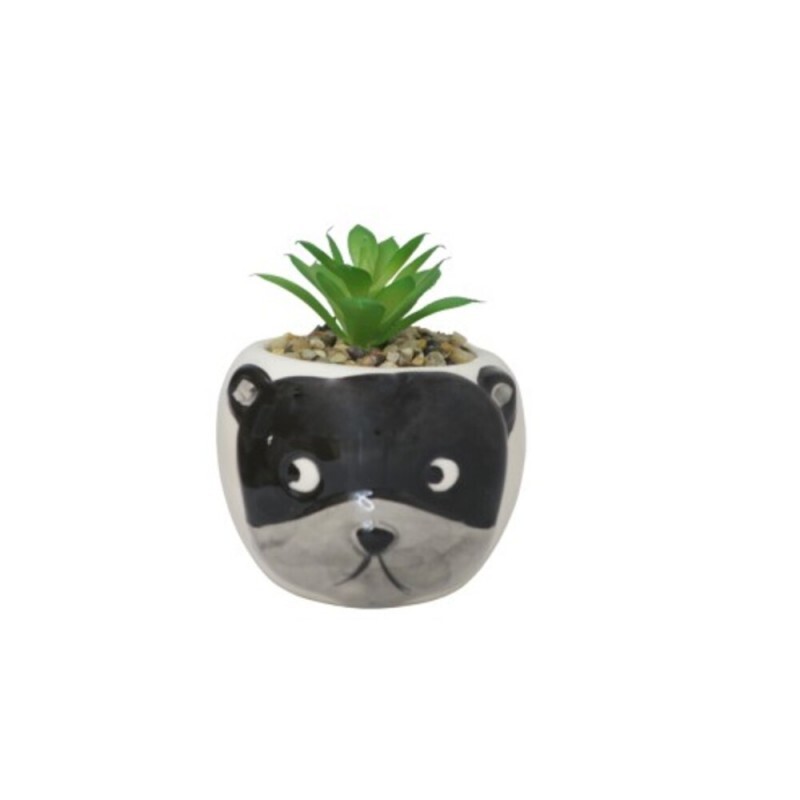 CACHEPOT C/PLANTA URSO PRETO 03 # MG-5142