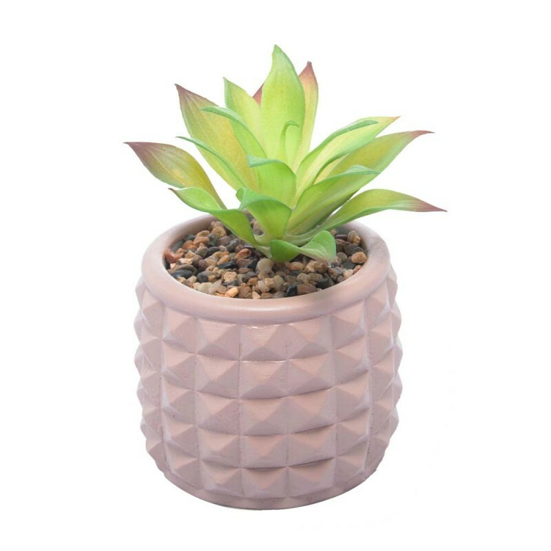 CACHEPOT MARROM C/SUCULENTAS SPIKES 10X15CM #61572