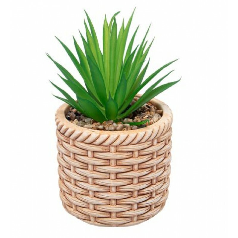 CACHEPOT C/SUCULENTA RATTAN 10X17CM # 61612