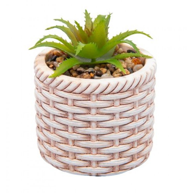 CACHEPOT C/SUCULENTA RATTAN 7.5X9.5CM # 61613