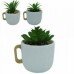 VASO CANECA C/PLANTA # 96131