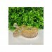 POTICHE LOUISE AMBAR 11CM # 35196