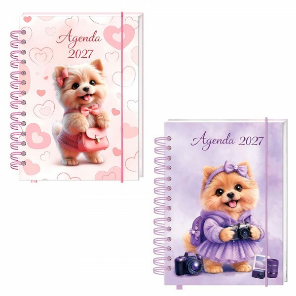 AGENDA 2027 10.8X14.9CM 168 FOLHAS # SXFS-14796 AGENDA 2027 10.8X14.9CM 168 FOLHAS # SXFS-14796