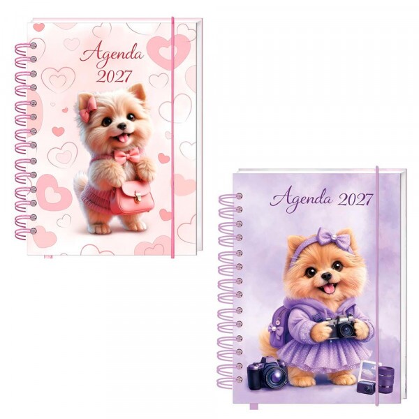 AGENDA 2027 13.7X18.9CM 168 FOLHAS # SXFS-14805 AGENDA 2027 13.7X18.9CM 168 FOLHAS # SXFS-14805
