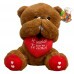 URSO COM CORACAO VOCE SABIA 30X28CM # FG9077