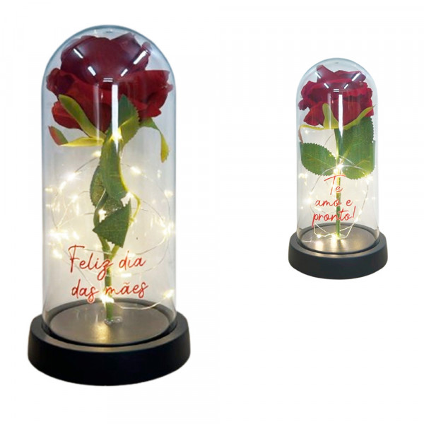 ROSA C/LED FRASES 21X11CM # 6741