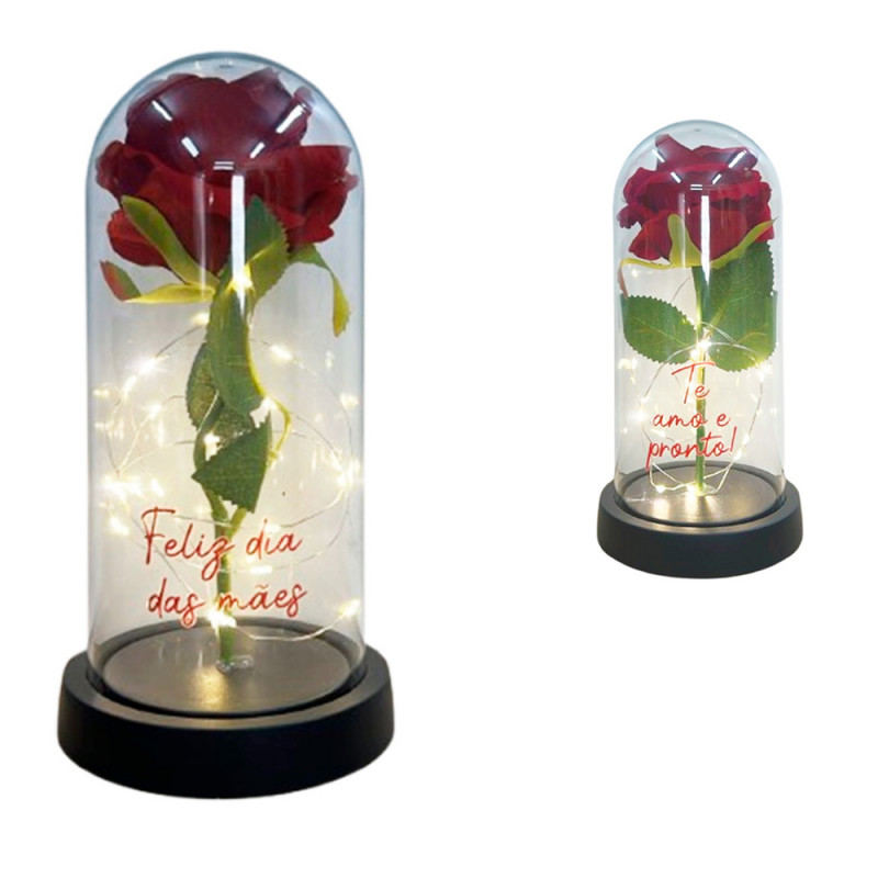 ROSA C/LED FRASES 21X11CM # 6741